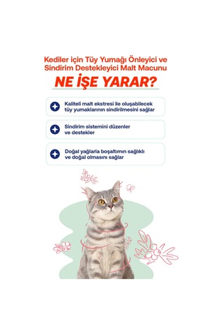 Biofeline Kediler İçin Malt Macun 100 G