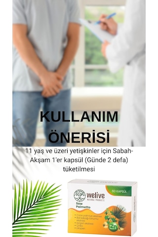 Cüce Palmiye Takviyesi Erkek Sağlığı Ve Desteği İçin 60 Kapsül