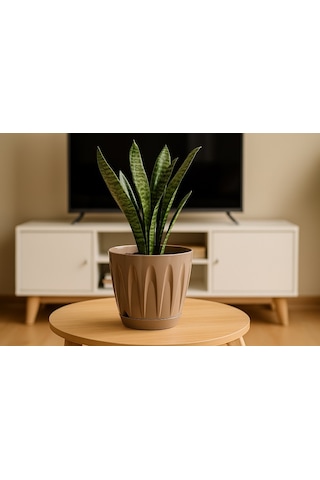Serinova Papatya Tabaklı Saksı 0.7 Lt 91072776