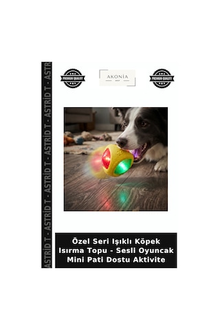 Özel Seri Işıklı Köpek Isırma Topu - Sesli Oyuncak Mini Pati Dostu Aktivite