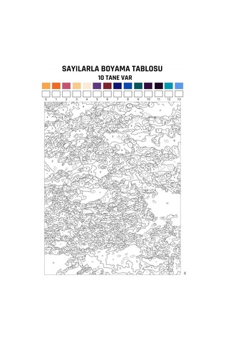 Sayılarla Boyama Soyut Tablolar Hayal Dünyası 10 Farklı Süper Ta