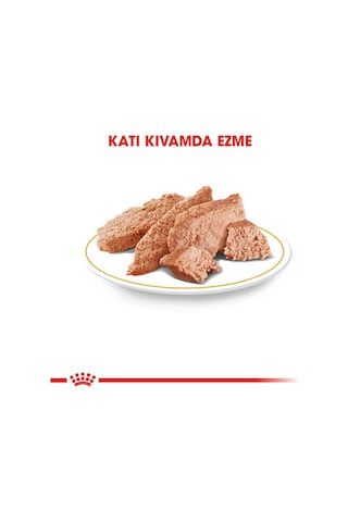 Royal Canin Yorkshire Terrier Yetişkin Köpek Maması 85 G