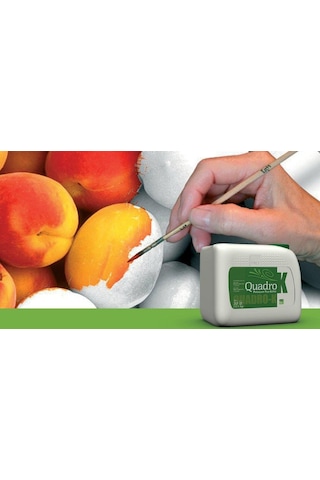Quadro-K | Potasyum Tiyo Sülfat 20 Litre