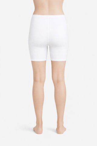 Belpa Likralı Penye Tayt, Pamuklu, Büyük Beden İçlik Tayt %95 Pamuklu %5 Likra Beyaz