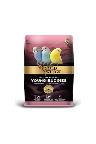 Gold Wings Premium Yavru Muhabbet Yemi 1Kg Gold Wings Premium Yavru Muhabbet Yemi 1Kg