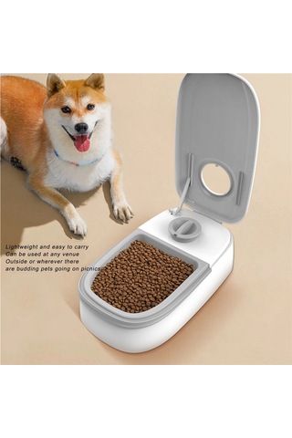 Jıalan Pet Besleyici Otomatik Evcil Hayvan Besleyici Çok