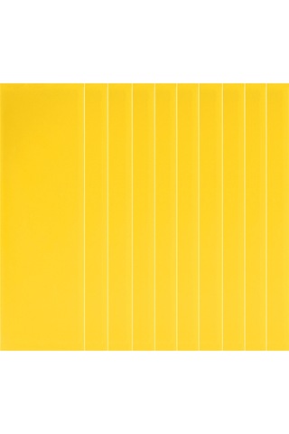 Reedark Uv Işığı Altında Etkili 10 Lu Yapışkan Sinek Tuzakları Meyve Sineği, Sivrisinek Ve Diğer Uçan Böcekler İçin