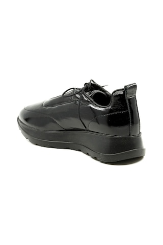 Dexter Tp22138-20 Çok Renkli