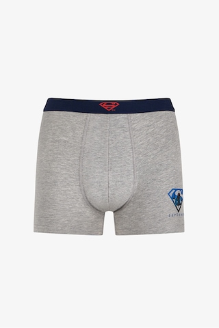 Penti Erkek Renkli Superman Çoklu Boxer