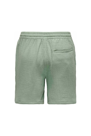 Only&sons Onstel-pas 0158 Shorts Grı Erkek Şort Gri