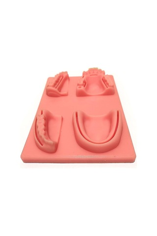 Suofeng Diş Hekimliği Dikiş Eğitim Seti - 4 Adet Yapay Diş Eti Modeli İle Pratik Yapma İmkanı