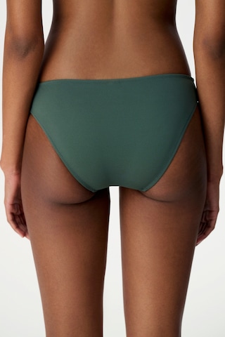 Penti Yeşil Slip Bikini Altı