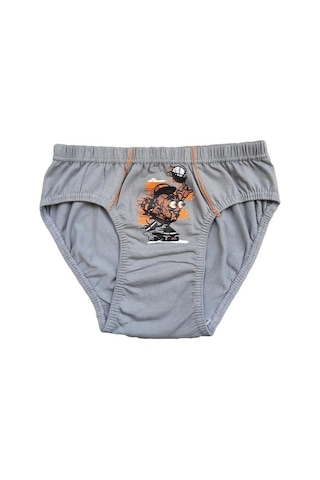 Tutku Iç Giyim Erkek Çocuk Desenli Slip Külot 6 Lı Paket