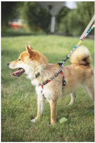 M-pets Urban Style Freestyle Köpek Göğüs Tasması L Pembe