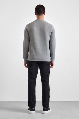 Süvari Gri Regular Düz Bisiklet Yaka Sweatshirt Sw2013700035-s05