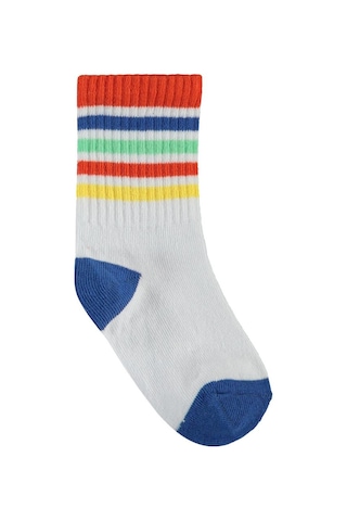 Civil Boys Colorful 3'lü 2-12 Yaş Erkek Soket Çorap - Standart