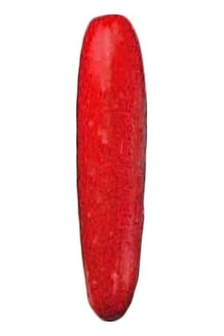 Nadir Ithal Kırmızı Salatalık Tohumu 5 Adet Tohum Red Cucumber