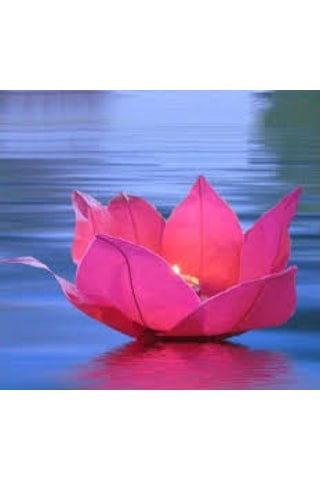 Kenpazar Nilüfer Su Çiçeği Su Feneri