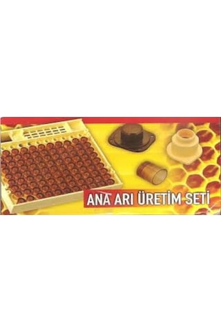 Ana Arı Üretim Seti