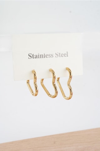 Kadın Vip Seri 316 L Paslanmaz Çelik Kalp Model 3'lü Küpe Seti 002