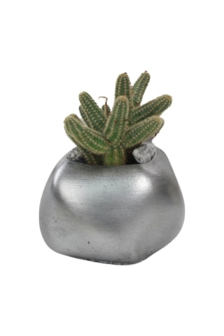 Çiçek Saksısı Dekoratif Kaktüs Saksı 1 Adet Spiral Oval Model - Gümüş Eskitme