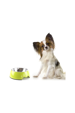 Köpek ve Kedi Evcil Hayvan Besleme Mama Kasesi