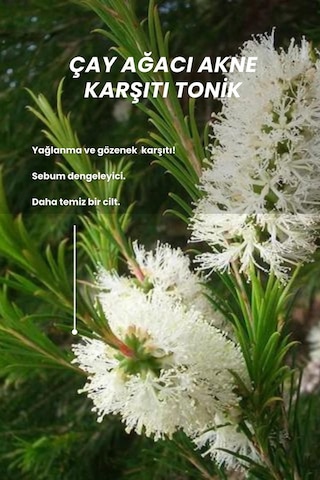 Bade Natural Çay Ağacı Akne Karşıtı Ve Gözenek Sıkılaştırıcı Arındırıcı Tonik 100 ML