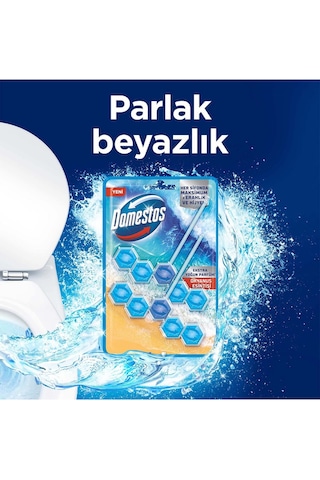 Domestos 5'li Güç Tuvalet Bloğu Okyanus Ferahlığı 2 x 100 G