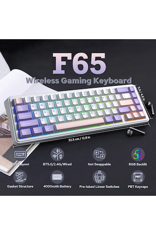 Aula F65 Nimbus V3 Switch Mekanik Rgb Tkl Makrolu Hot Swap Kablos