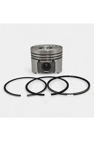 Piston + Segman Seti Std : Hatz / 1d41
