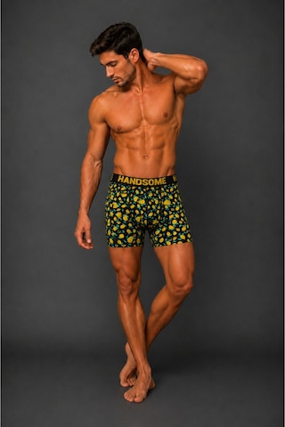 Brem Handsome Limon Desenli Erkek Boxer Çok Renkli