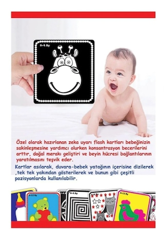 Dıytoy Bebeğimin Ilk Zeka Kartları Flash Card 1369