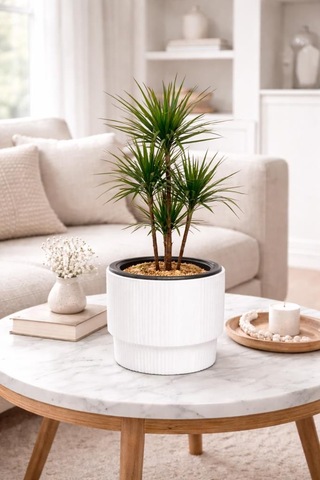 So-vgs2 3 Adet Vega Modern Plastik Saksı Takımı No:2 İç Kovalı 20 Lt Beyaz