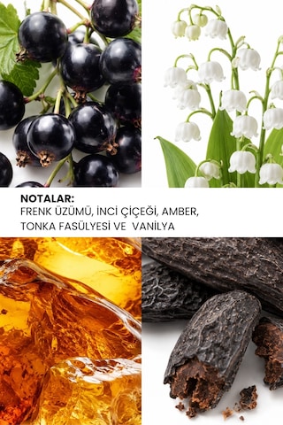 Ixora K218 Beauty Kadın Parfüm EDP 50 ML