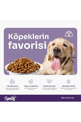 Spelly Biftekli Yetişkin Köpek Maması Konserve 12 x 400 G