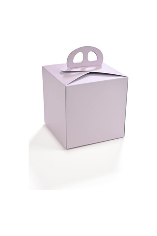 Pasta Kabı Pembe-mavi 10 X 10 Cm 100 Adet