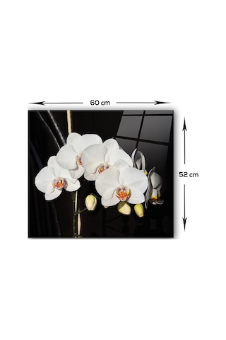 Decorita Orkideli Mutfak | Ocak Arkası Koruyucu | 52cm x 60cm