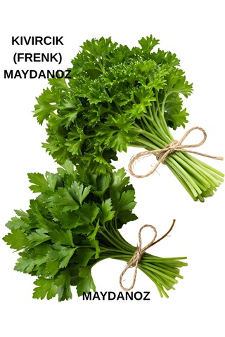 Maydanoz Ve Kıvırcık Frenk Maydanoz Tohumu Seti 10 Gr. 10 Gr.