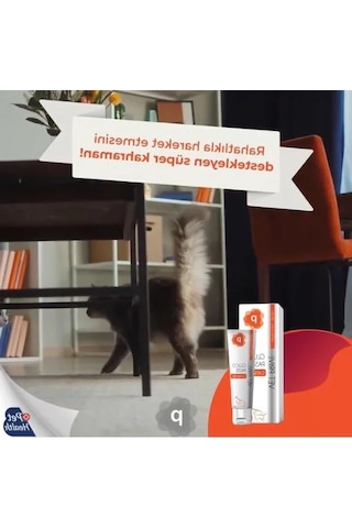 Eklem Desteği Pasta, Kedi Ve Köpekler İçin Özel Formül