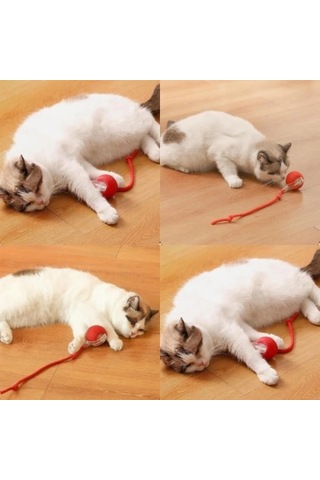 Bay Şarjlı Kedi Oyuncağı Najmaddin