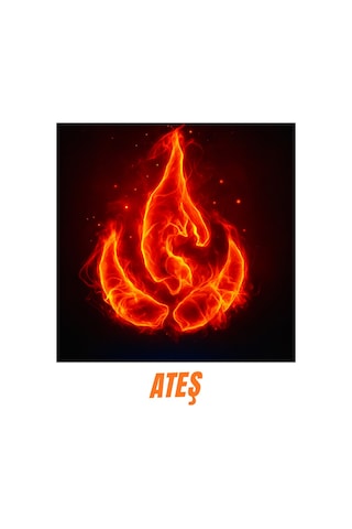4 Element Rozet Seti-4 Adet-44 Mm Çok Renkli