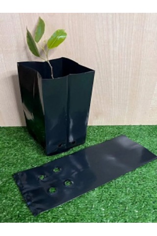 Umnyj Sad 24,3 L Fide Torbaları 254642868