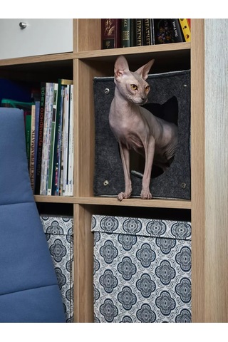 Eva Pets Yataklı Kedi Ve Köpek İçin Labirent Ev 177871237