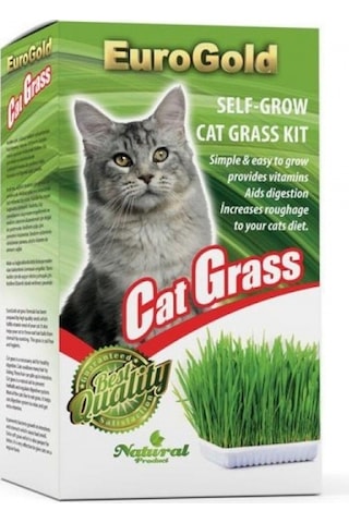 Eurogold Kedi Çimi Sindirim Sistemi Desteği