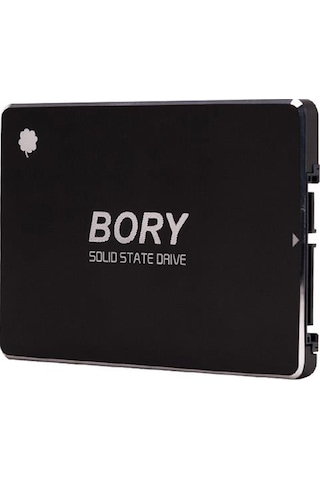 Bory R500 - C256G Ssd 550/510 Mbs 256 Gb Bory Sata3 Nas Sürücü