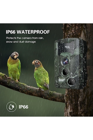Dancemonkey Kamerası Gece Görüşlü 3 Pır Sensörlü 36mp 1080p İz Ve Av Kamerası Ip66 Su Geçirmez Hareket Yeşil