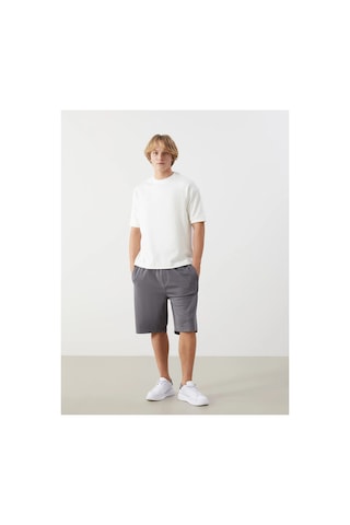 Lc Waikiki Xsıde Rahat Kalıp Erkek Bermuda Şort Dark Grey