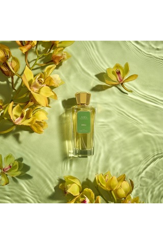 Bargello Niche Paradise Edition Aden Unisex Extrait De Perfume 75 Ml Flora Diğer