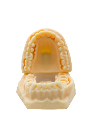 Barışhan Medikal Silikon Çene Diş Dikiş Modeli Ortodontik Alt Üst Çene Periodontal Sütür Eğitim Modeli-3