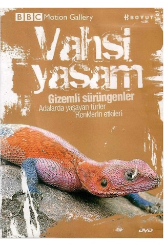 Bbc Motion Gallery - Vahşi Yaşam Gizemli Sürüngenler Adalarda Yaşayan Türler Renklerin Etkileri - Dvd